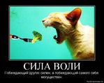 Правильной дорогой идем к стройности, товарищи! 152 серия, проверка силы воли