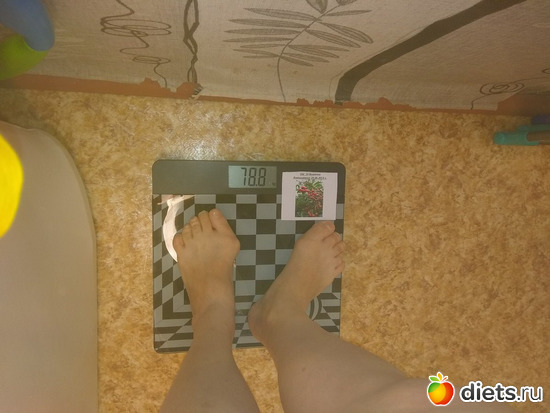 ��� 28 ����, ������: ���� ������ �������