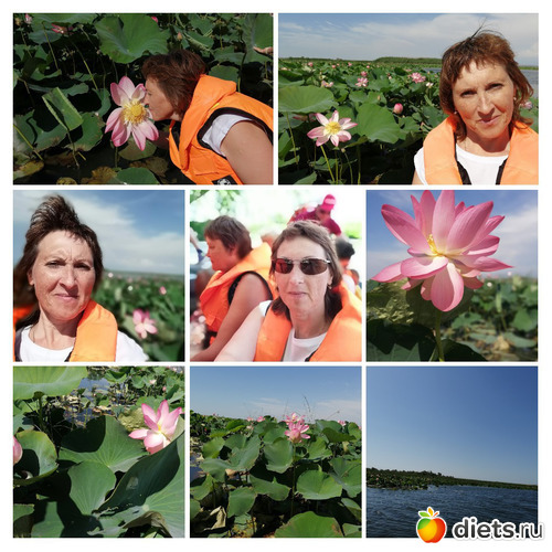 ������ �������, ������: �� - 2019