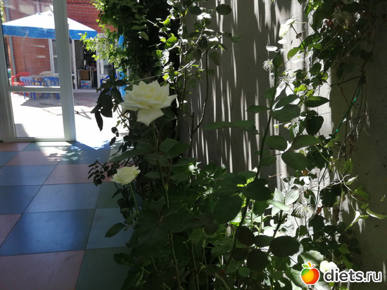 1 ����: �� - 2019