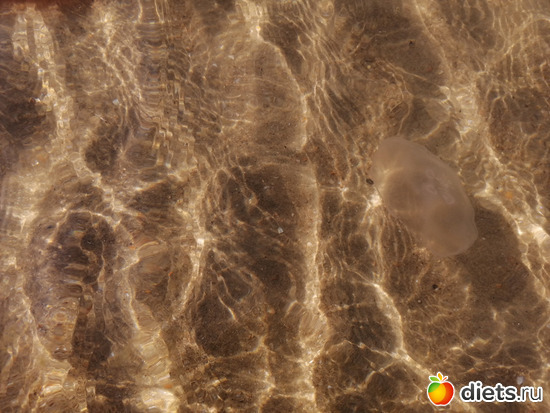 4 ����: �� - 2019