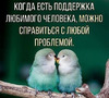 ��������� �����