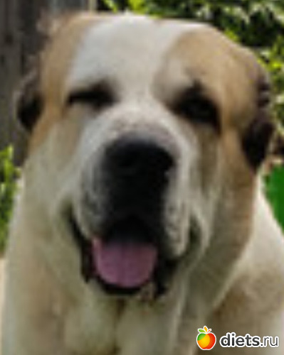 Зюзя,увеличенное фото, альбом: моё творчество