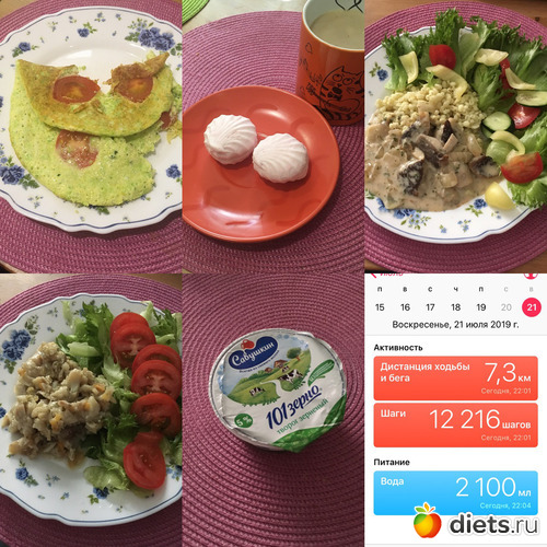 23 ����: #�����_��_������