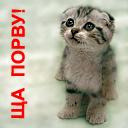 �������� �����. ��������.