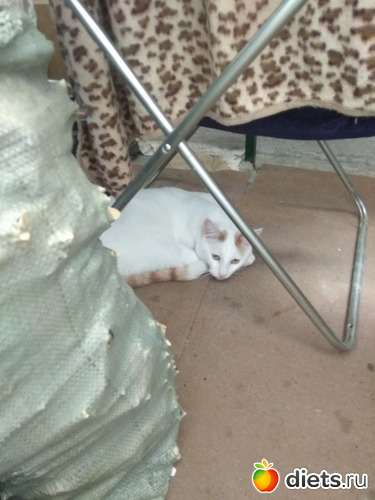 ������ �������� 01.06, ������: ���� ������ �������