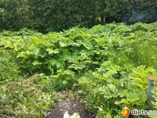 ������ 01.06, ������: ���� ������ �������