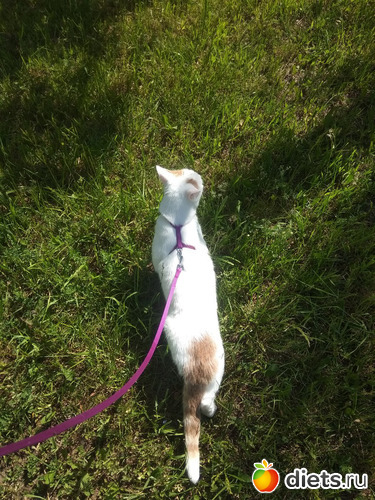 ���� �� �������� 02.06, ������: ���� ������ �������