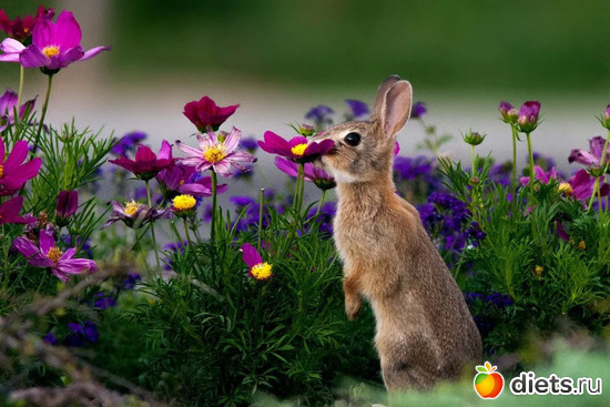 10 ����: ����������