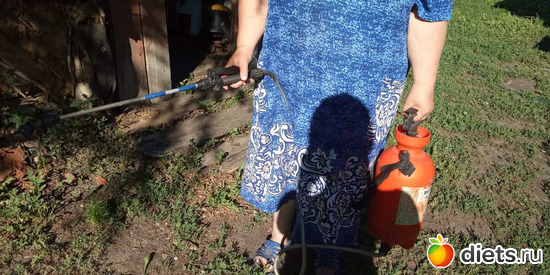 107 ����: ���