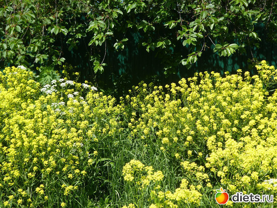 1 фото: По пути