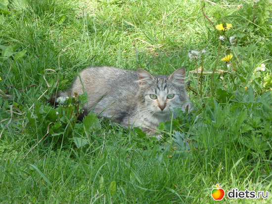 2 фото: По пути