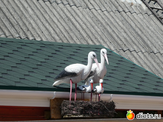 5 фото: По пути