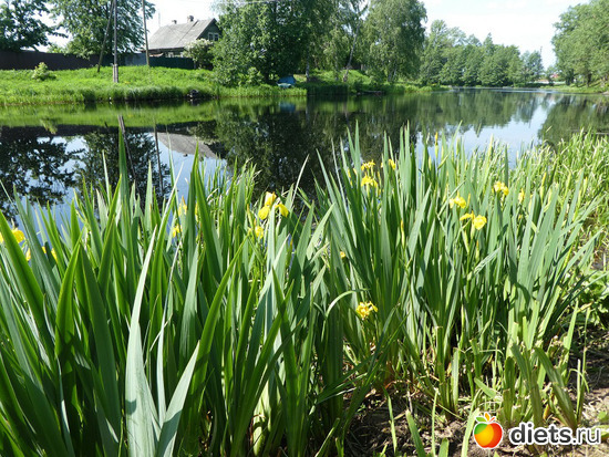 6 фото: По пути