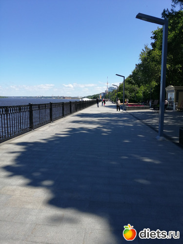 1 ����: �������  �����...