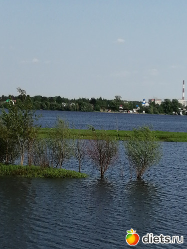 8 ����: �������  �����...