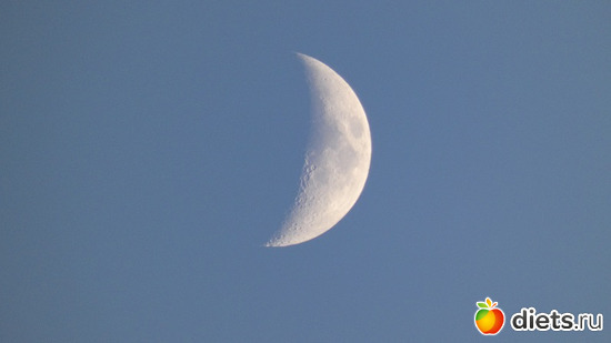 4 ����: ������ ���2019