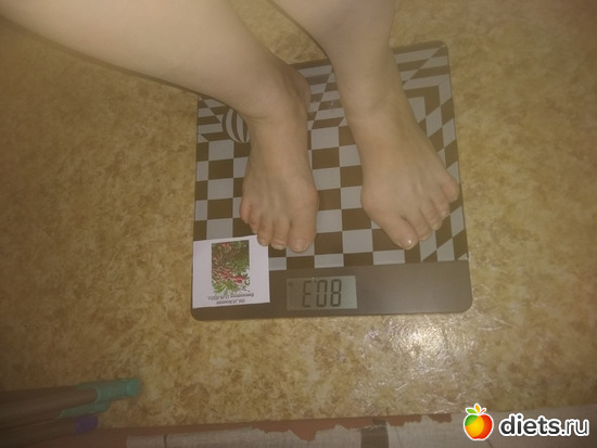 ��� 15 ����, ������: ���� ������ �������