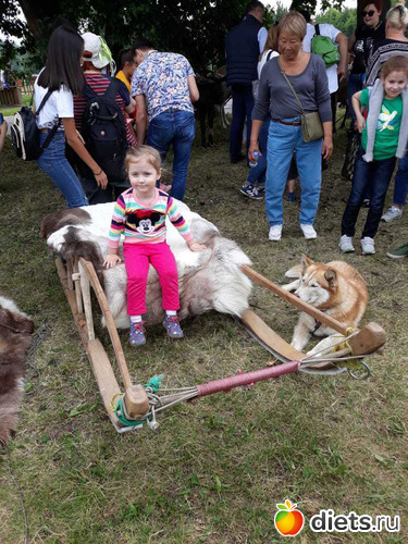 54 ����: ������� �����