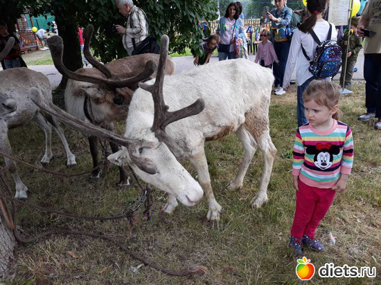 58 ����: ������� �����