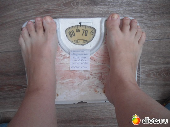 ���� ������� ��������-67 ��, ������: ������ ������� 2018-2019