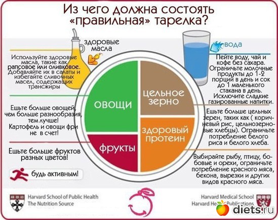 30 фото: без диет реально похудеть? " модель тарелки"