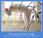 Правильной дорогой идем к стройности, товарищи! 185 серия, снова лежу в направлении цели...