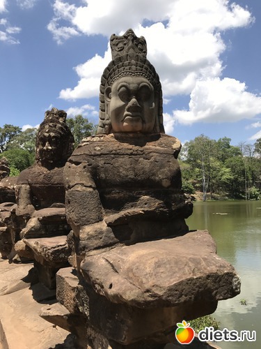 455 ����: ������ 2017. ��������