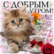 ����� �� ������� " ����� 60". ����� �� ������� �� 06.03.2019