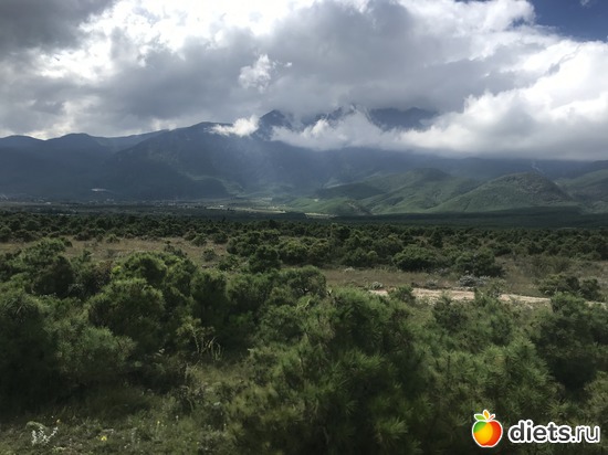 65 ����: �������� 2018. 55� ���� ��������. �������������� �����