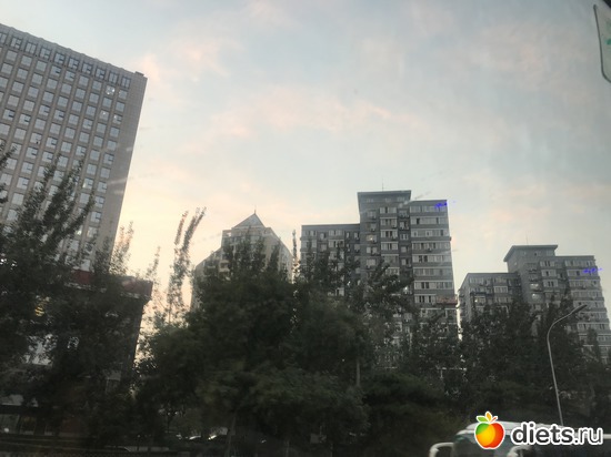 69 ����: �������� 2018. 55� ���� ��������. �������������� �����