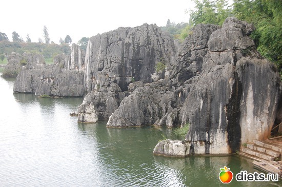 74 ����: �������� 2018. 55� ���� ��������. �������������� �����