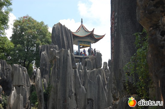 76 ����: �������� 2018. 55� ���� ��������. �������������� �����