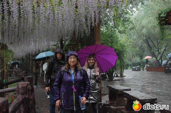 78 ����: �������� 2018. 55� ���� ��������. �������������� �����