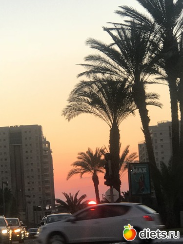 26 ����: ���� 2019