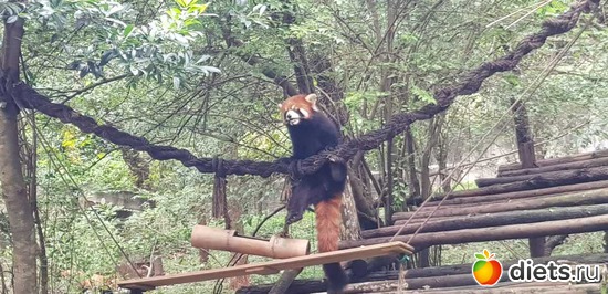 98 ����: �������� 2018. 55� ���� ��������. �������������� �����