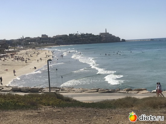 63 ����: ������ 2018