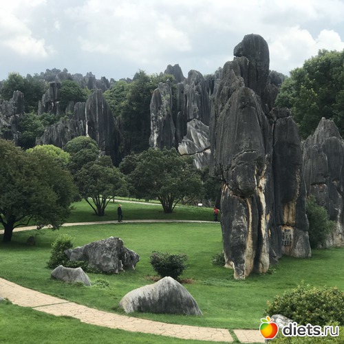 122 ����: �������� 2018. 55� ���� ��������. �������������� �����