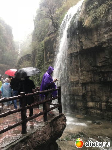 127 ����: �������� 2018. 55� ���� ��������. �������������� �����