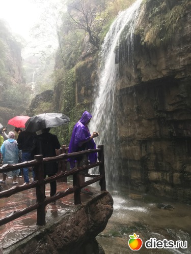 128 ����: �������� 2018. 55� ���� ��������. �������������� �����