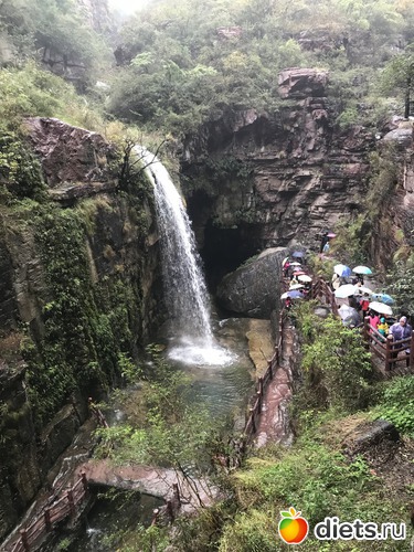 133 ����: �������� 2018. 55� ���� ��������. �������������� �����