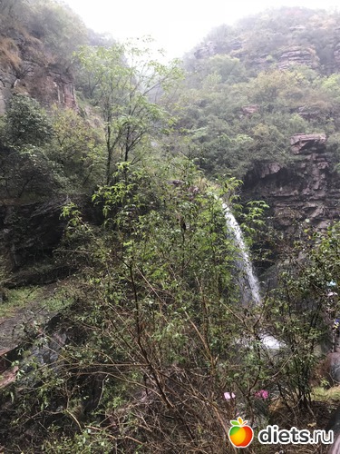 135 ����: �������� 2018. 55� ���� ��������. �������������� �����