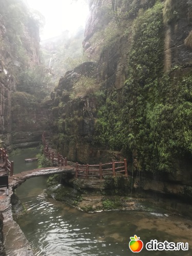 136 ����: �������� 2018. 55� ���� ��������. �������������� �����