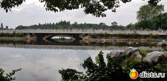 40 ����: �������� 2018. 55� ���� ��������. �������������� �����