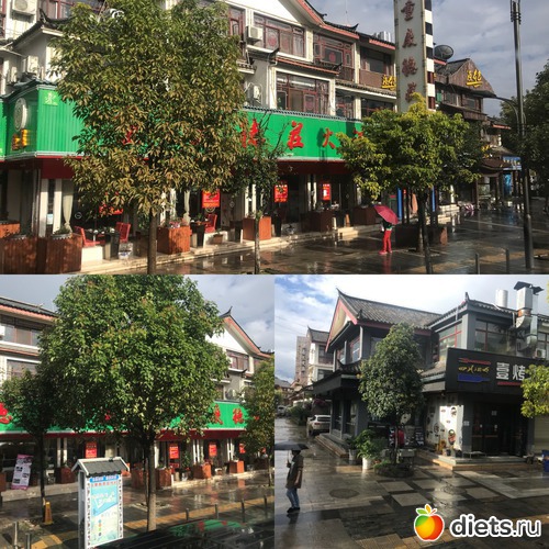 52 ����: �������� 2018. 55� ���� ��������. �������������� �����