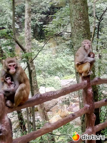 54 ����: �������� 2018. 55� ���� ��������. �������������� �����