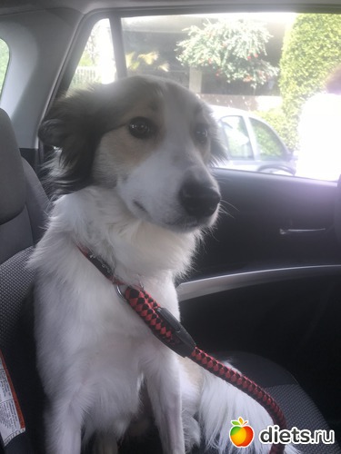 7 ����: ���� 2019