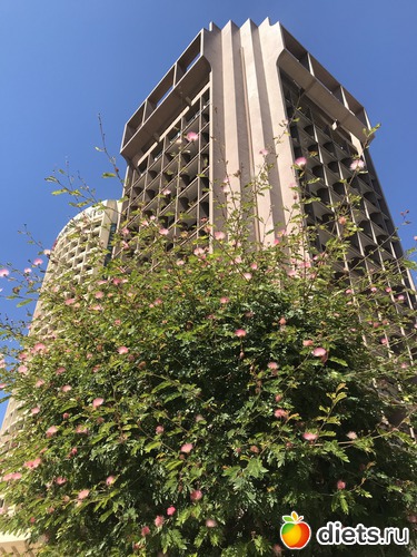 70 ����: ���� 2019