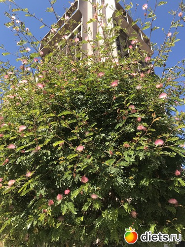 71 ����: ���� 2019