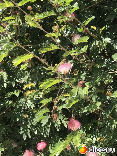 72 ����: ���� 2019